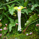 What On Earth? Black & Decker Internet-Connected Gardening Tools